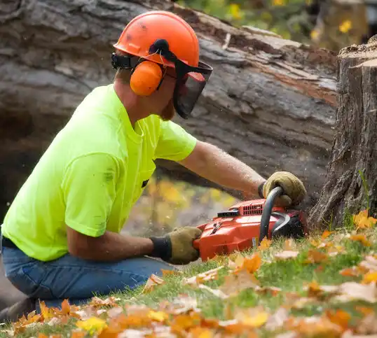 tree services Moberly